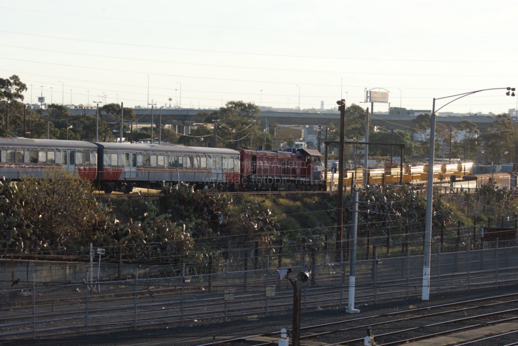 North Melbourne Gunzelling - 9-7-2010 - DSC01947 [1024x768]