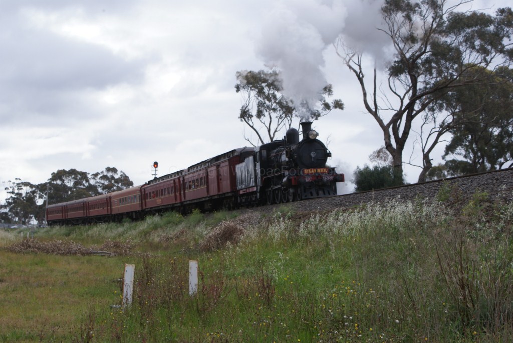 SRV BacchusMarsh Flyer-29-9-11-DSC03905 1024x768