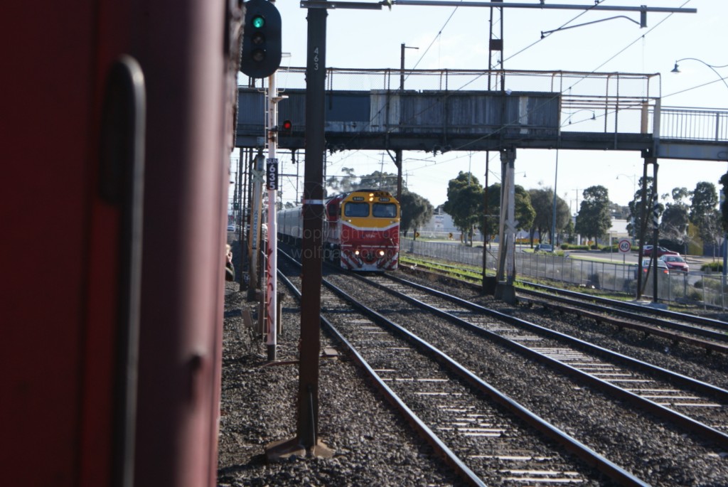 SRV Sunshine-Sydenham Shuttles - 299 - 11-7-10 - DSC02347 [1024x768]