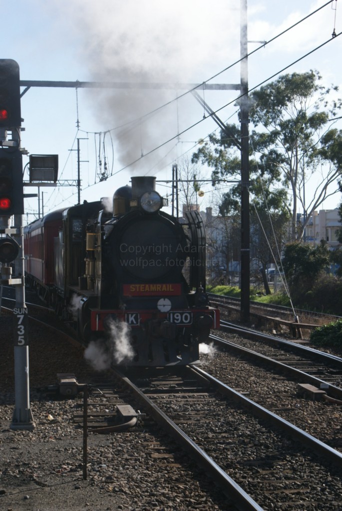 SRV Sunshine-Sydenham Shuttles - 391 - 11-7-10 - DSC02439 [1024x768]