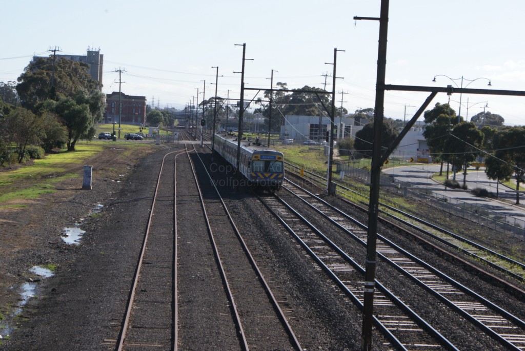 SRV Sunshine-Sydenham Shuttles - 445 - 11-7-10 - DSC02493 [1024x768]