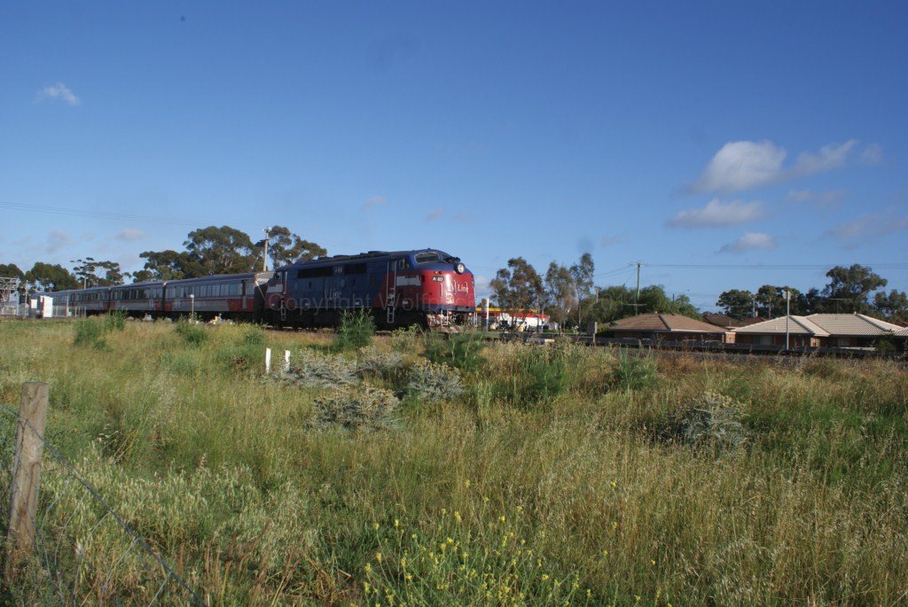 A60-5 Sprinters-10-11-11 07 of 26 DSC04375