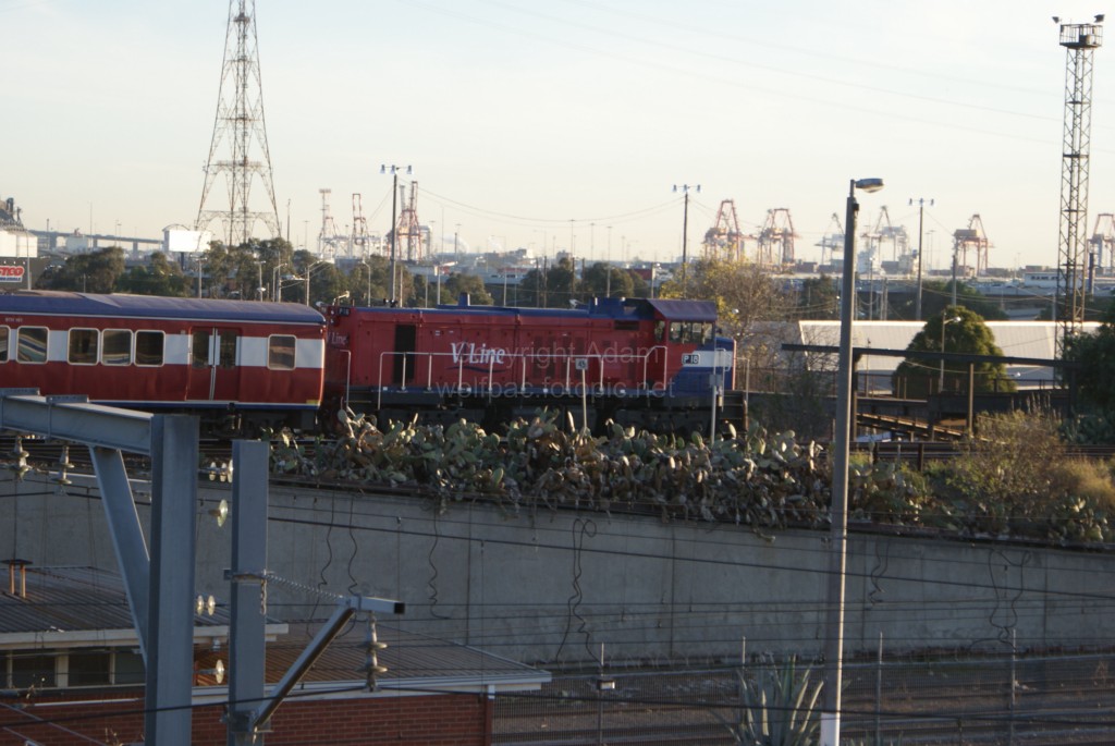 North Melbourne Gunzelling - 9-7-2010 - DSC01971 [1024x768]