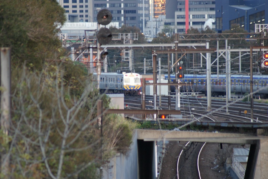 North Melbourne Gunzelling - 9-7-2010 - DSC02048 [1024x768]