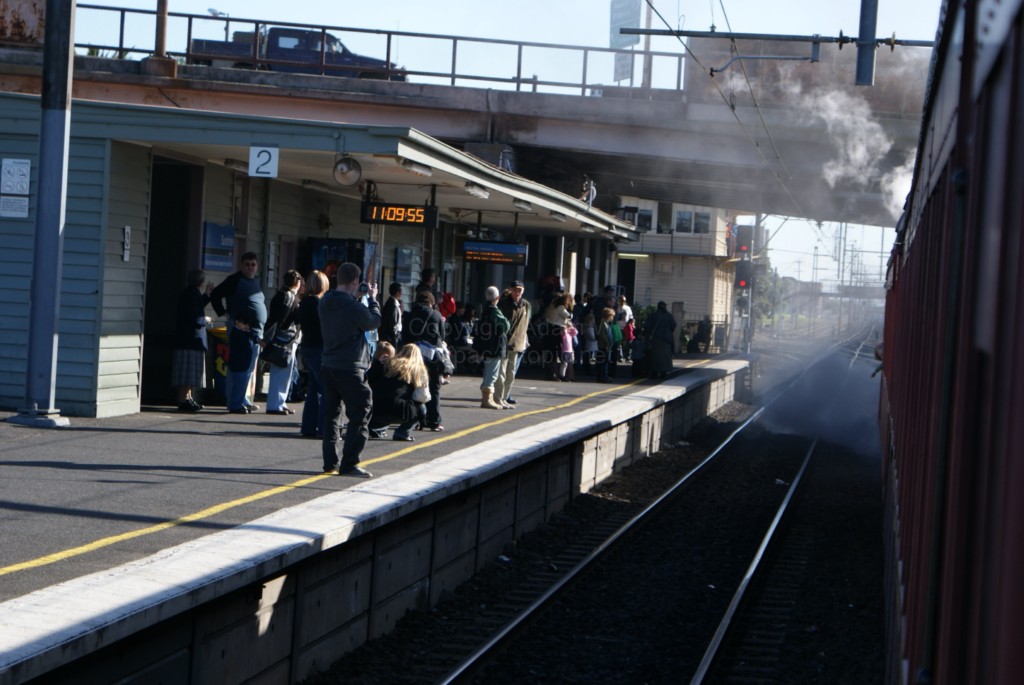 SRV Sunshine-Sydenham Shuttles - 264 - 11-7-10 - DSC02312 [1024x768]